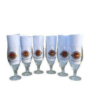 Heidelberger Schlossquell Sahm German Crystal Goblet Wine Beer Glasses Set of 6